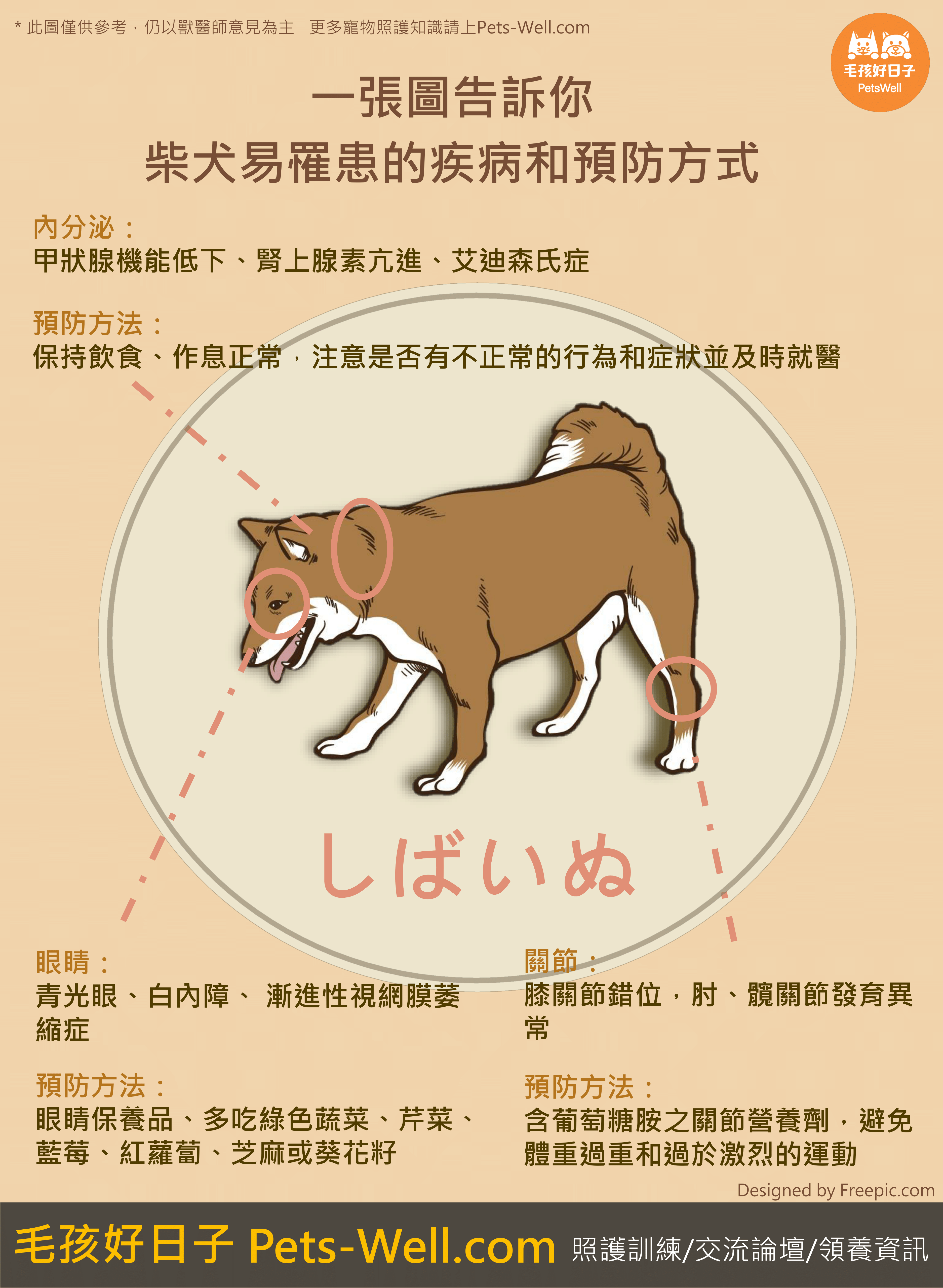 柴犬常見疾病